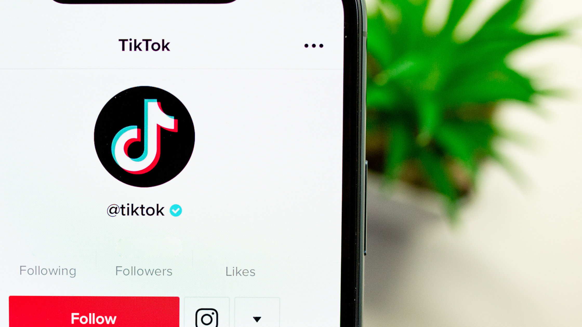TikTok advertising